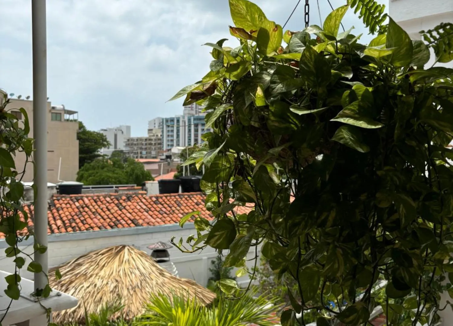 Guest house Calle11 Hostal Hotel Gaira